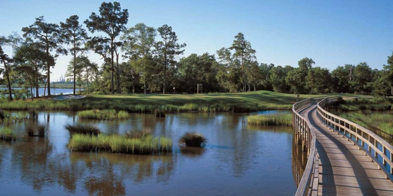 Gray Plantation